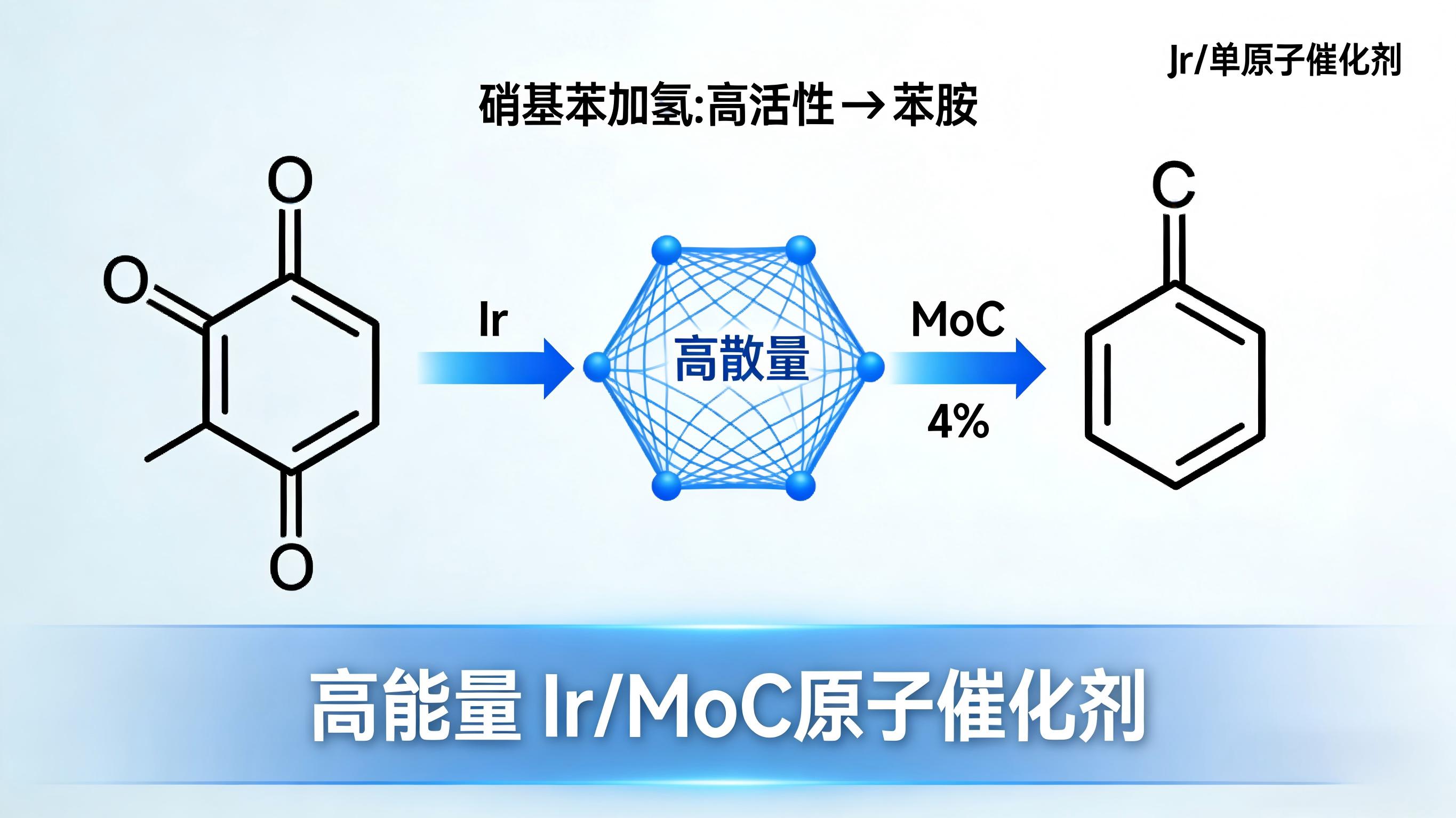 高载量单原子催化剂设计及有机物选择性加氢领域应用